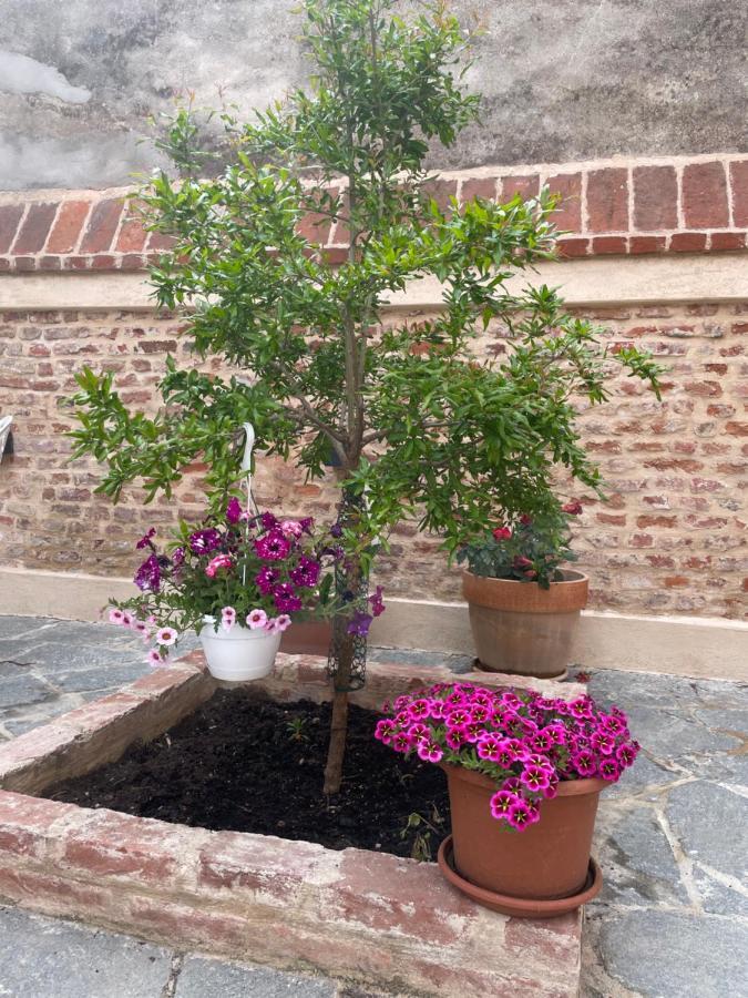 Residenza Nikol Appartamento Giulia กาซาเล มอนแฟร์ราโต ภายนอก รูปภาพ
