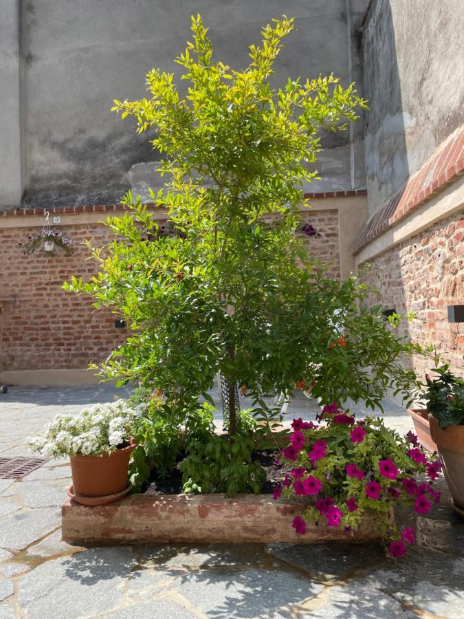 Residenza Nikol Appartamento Giulia กาซาเล มอนแฟร์ราโต ภายนอก รูปภาพ